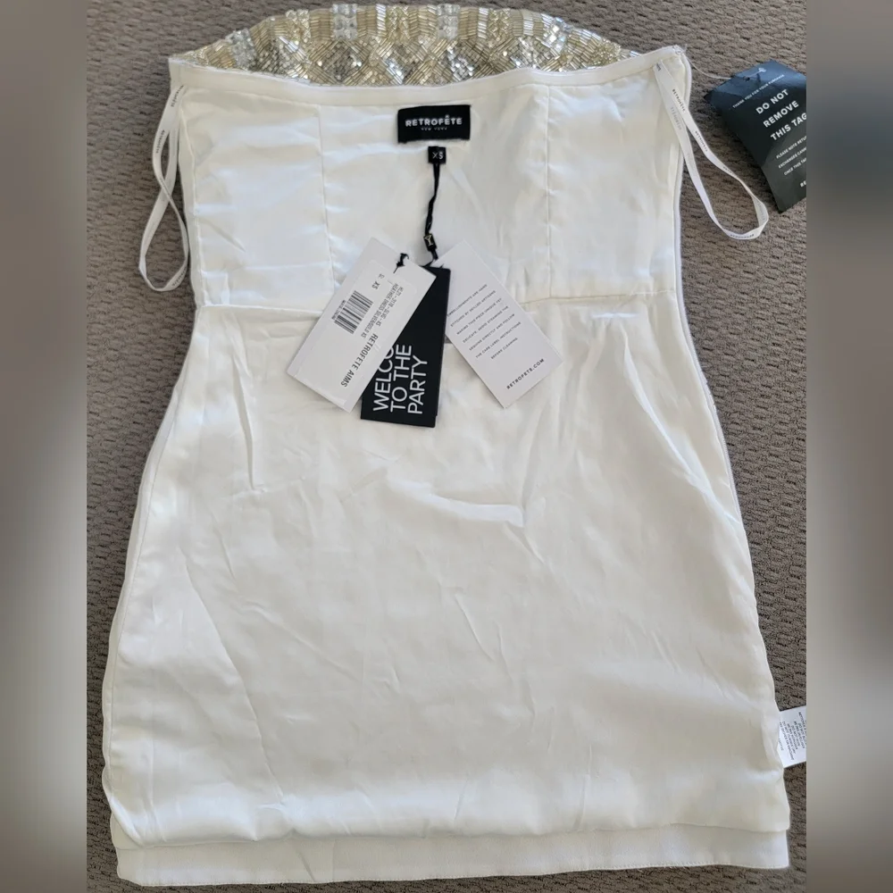Retrofete Silver Mini Dress - Picture 12 of 13